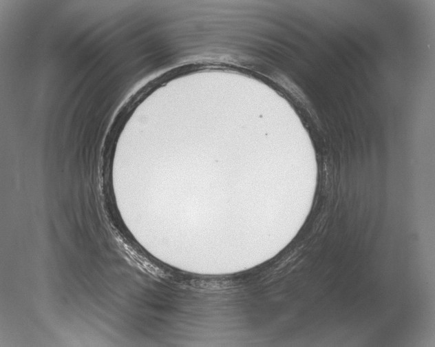 X0000080171020200701051626