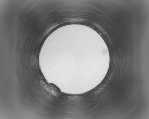 X0000080171025200701051626