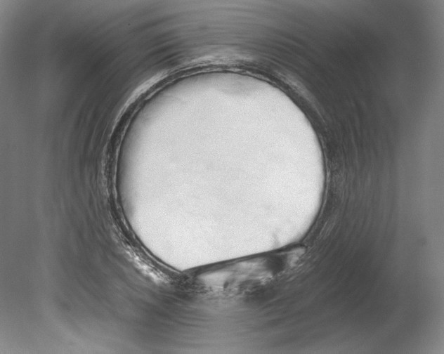 X0000080171026200701051626