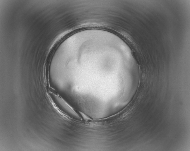 X0000080171030200701051626