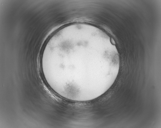 X0000080171032200701051626