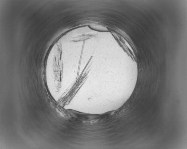 X0000080171051200701051626
