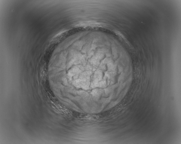 X0000080171063200701051625