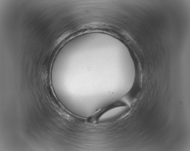 X0000080171065200701051625