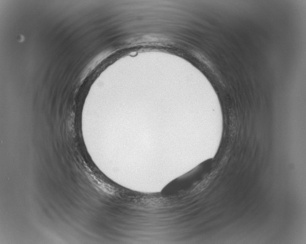 X0000080171066200701051625