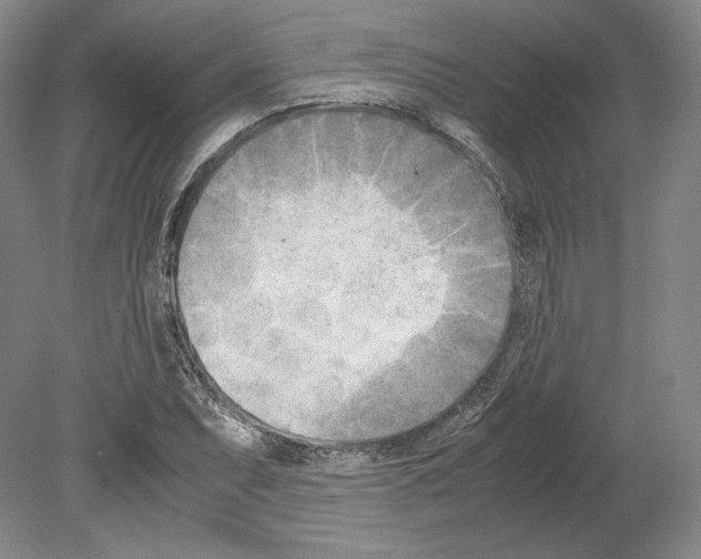 X0000080171071200701051625
