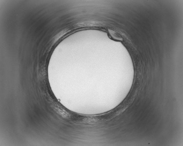 X0000080171073200701051625