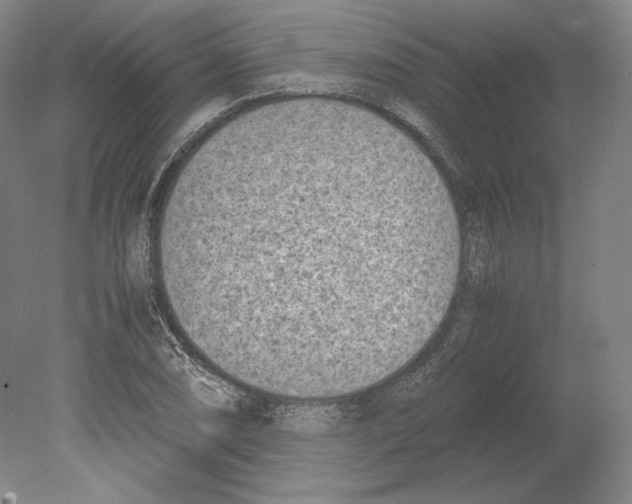 X0000080171074200701051625