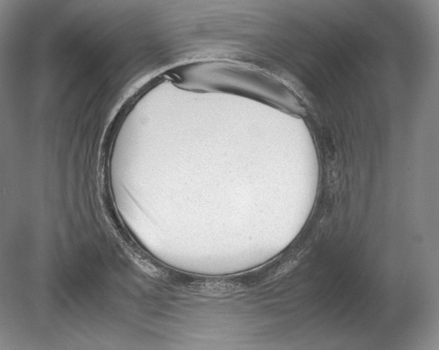 X0000080171077200701051625