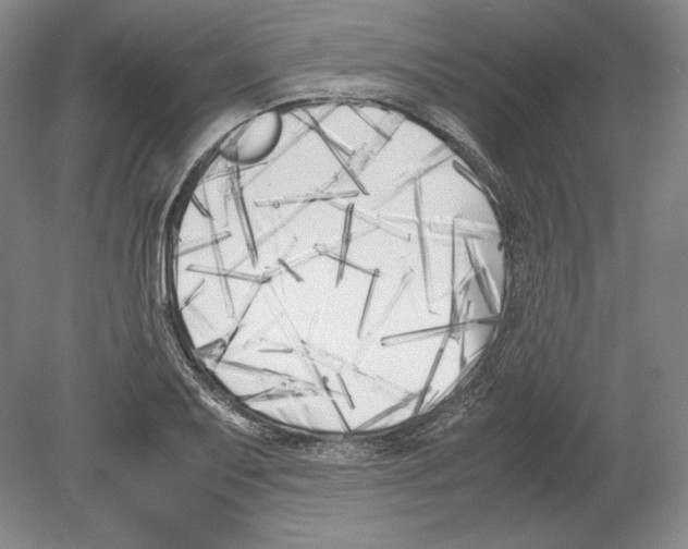X0000080171079200701051625