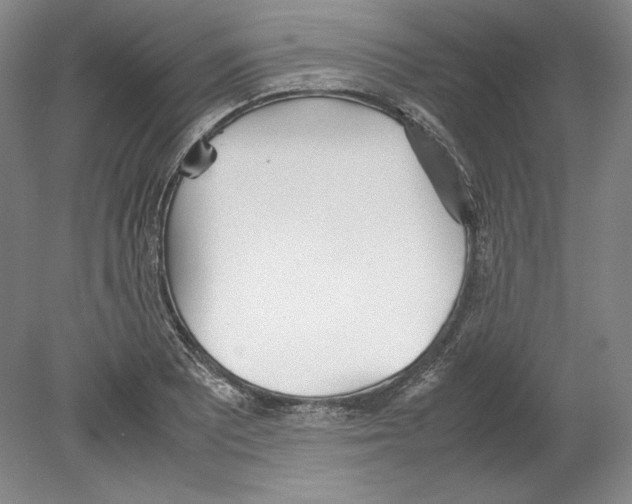 X0000080171081200701051625