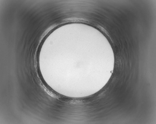 X0000080171082200701051625