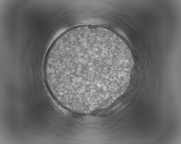 X0000080171087200701051625