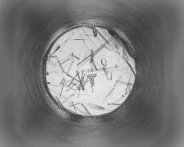 X0000080171091200701051625