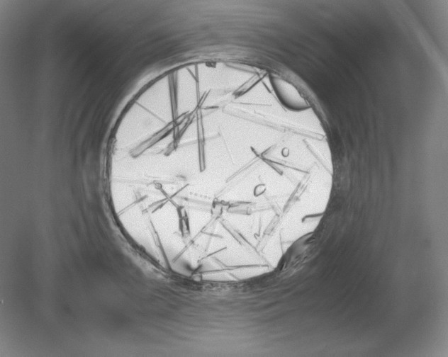 X0000080171099200701051625