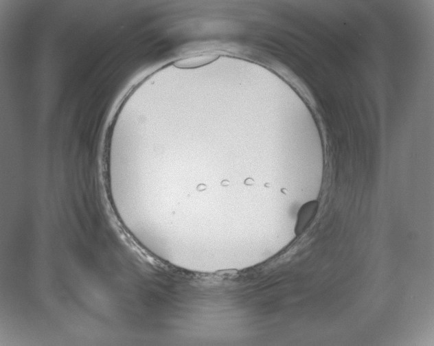 X0000080171104200701051625