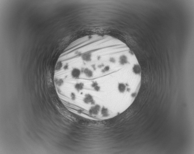 X0000080171106200701051624