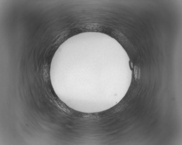 X0000080171107200701051624