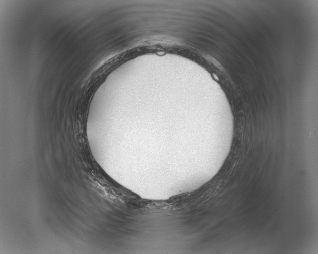 X0000080171112200701051624