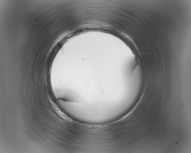 X0000080171114200701051624
