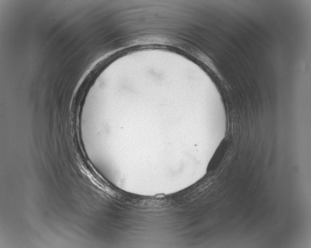 X0000080171116200701051624