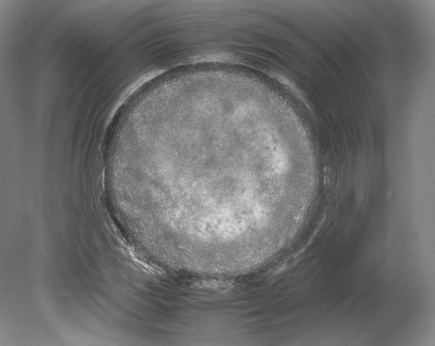 X0000080171117200701051624