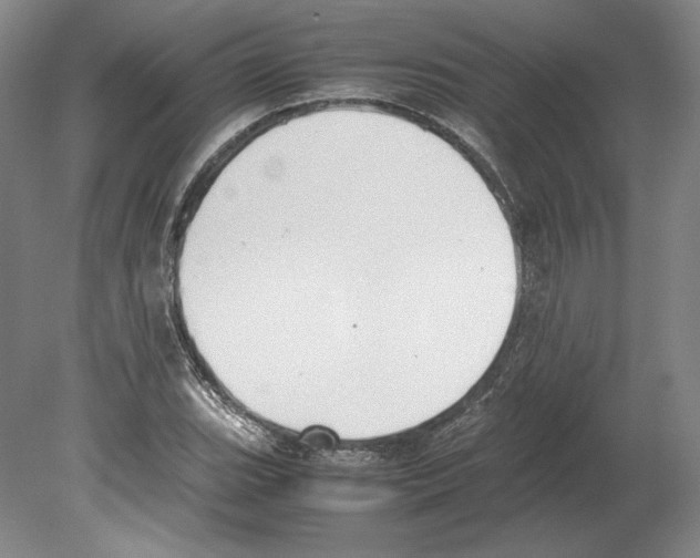 X0000080171119200701051624