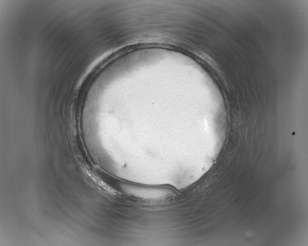 X0000080171120200701051624