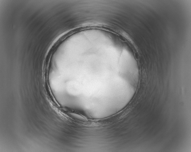 X0000080171124200701051624