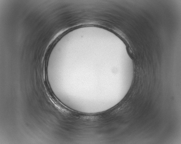 X0000080171127200701051624