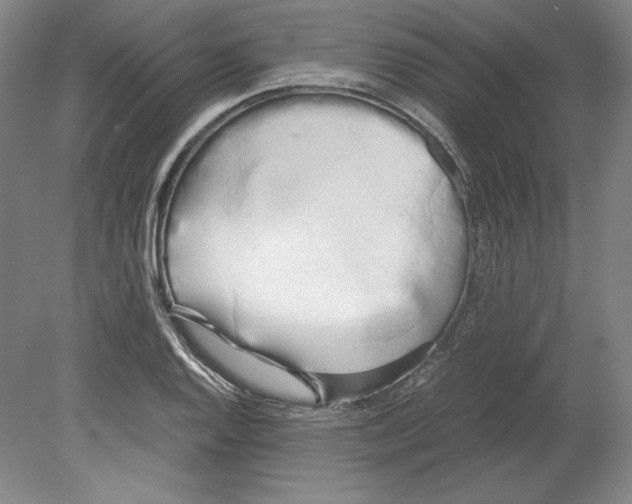 X0000080171128200701051624