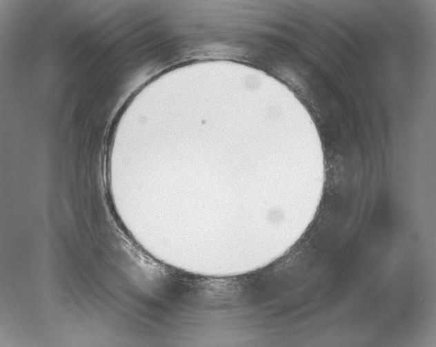 X0000080171130200701051624