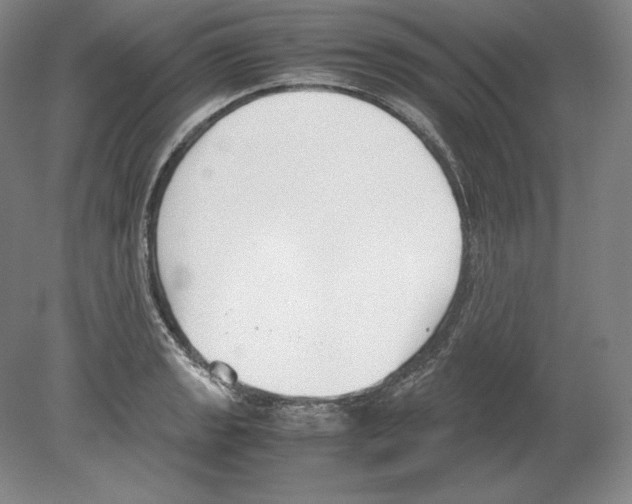 X0000080171133200701051624