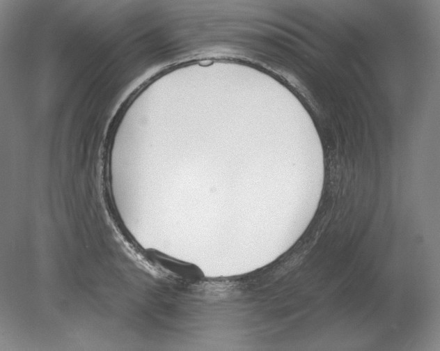 X0000080171134200701051624