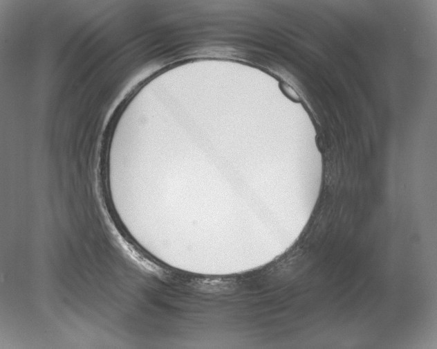 X0000080171139200701051624