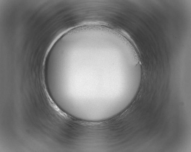X0000080171140200701051624