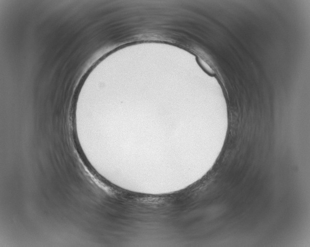 X0000080171141200701051624