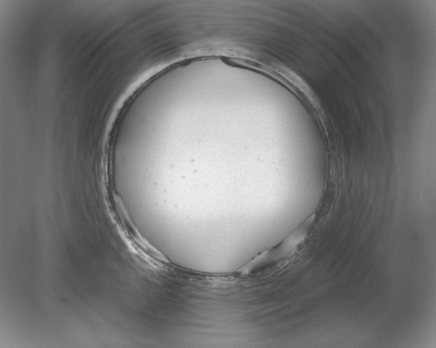 X0000080171144200701051624