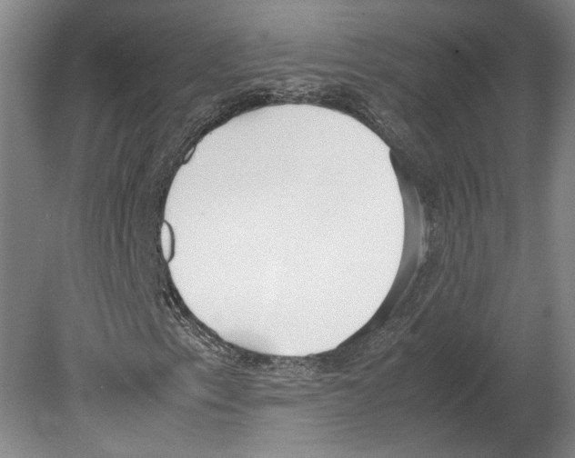 X0000080171153200701051624