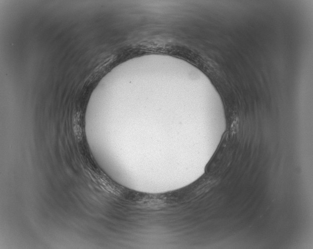 X0000080171156200701051624