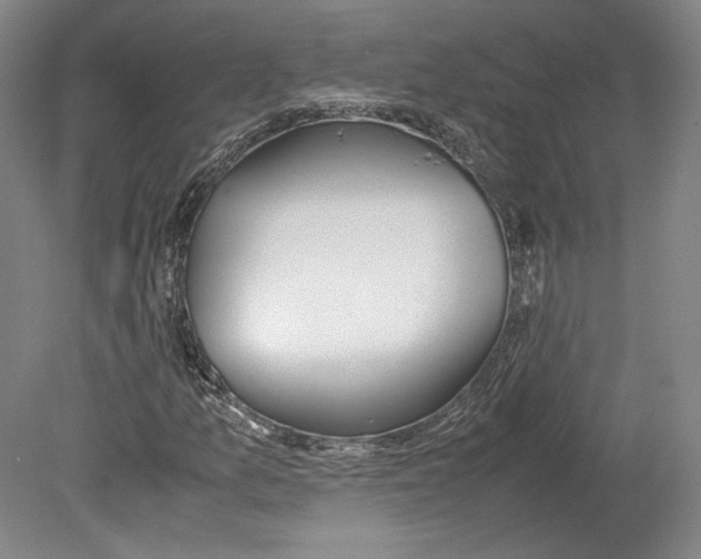 X0000080171157200701051624