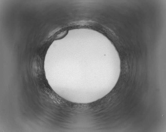 X0000080171158200701051624