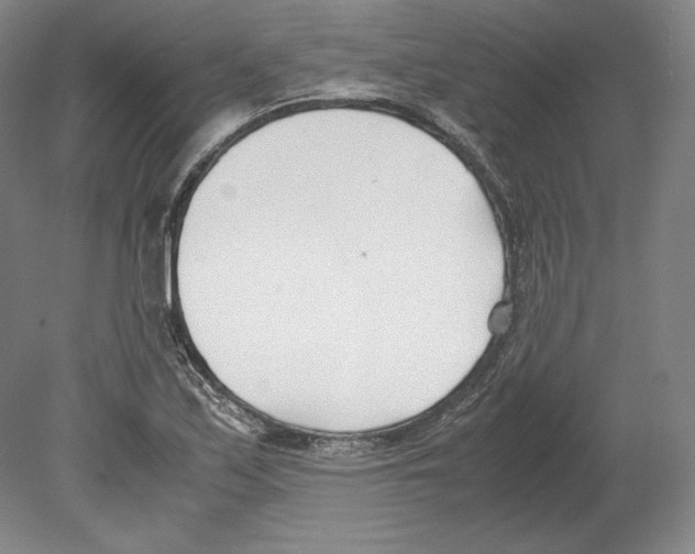 X0000080171171200701051623