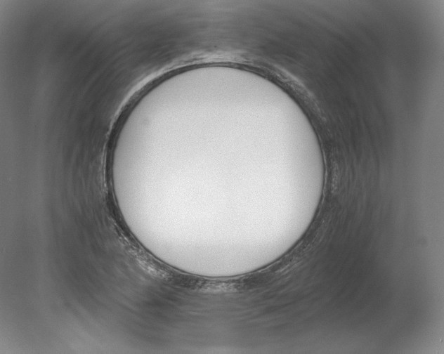 X0000080171174200701051623