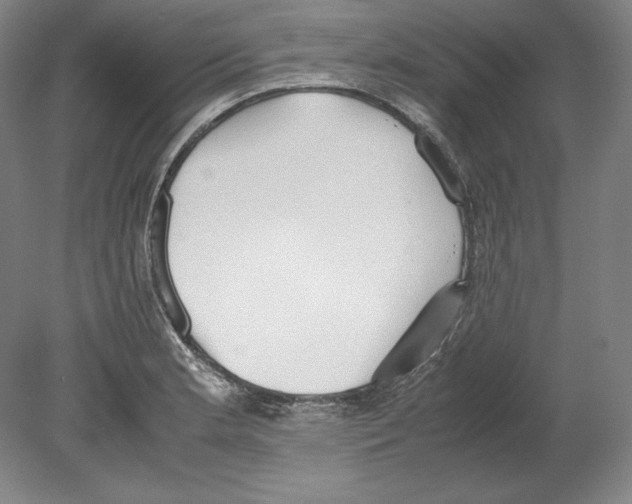 X0000080171181200701051623
