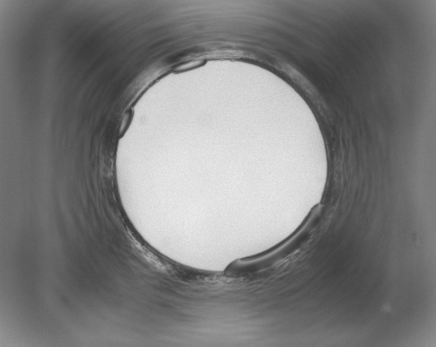 X0000080171193200701051623