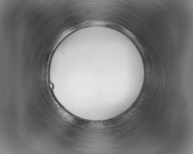 X0000080171194200701051623