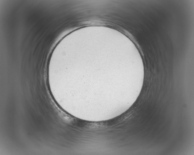 X0000080171195200701051623