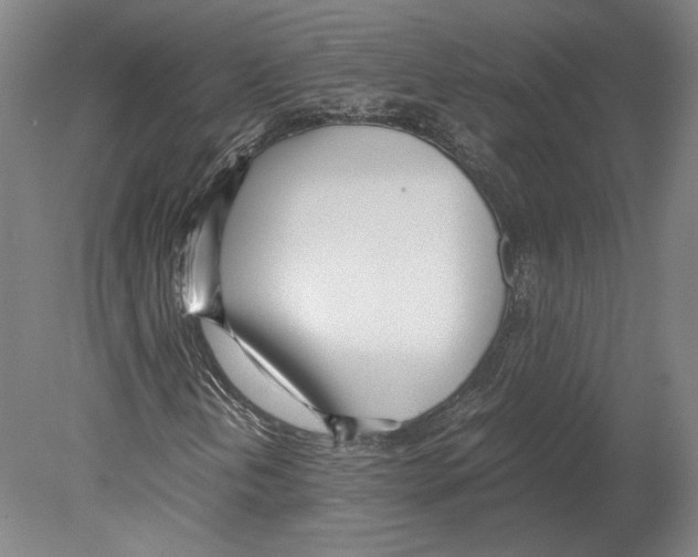 X0000080171202200701051622