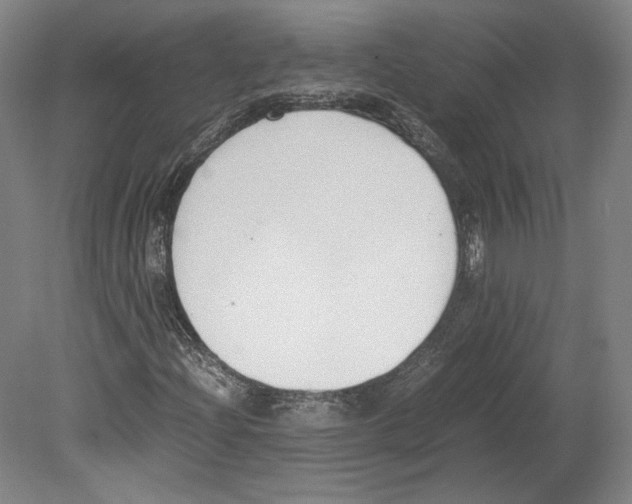 X0000080171204200701051622